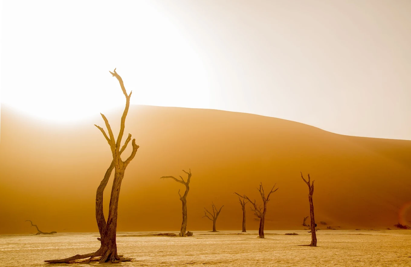 Routes Rediscovered gallery image 1 - Tours services